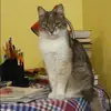 Отзыв от София Лапшина